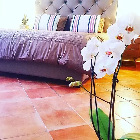 Casa vacanze Estate4home - Henry House